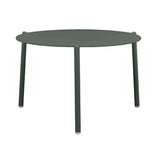 Delphi Coffee Table Jade